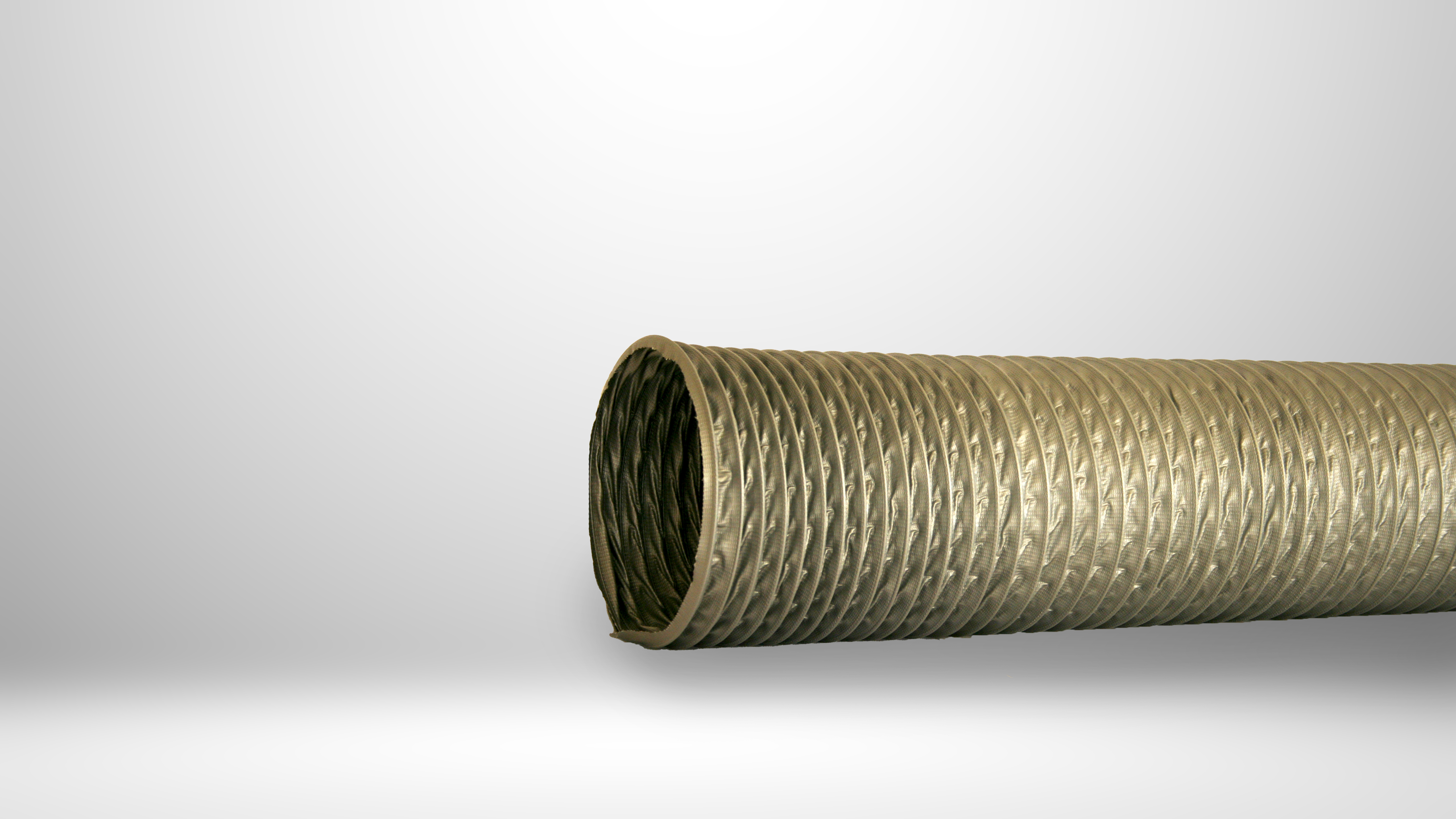 خرطومی برزنتی