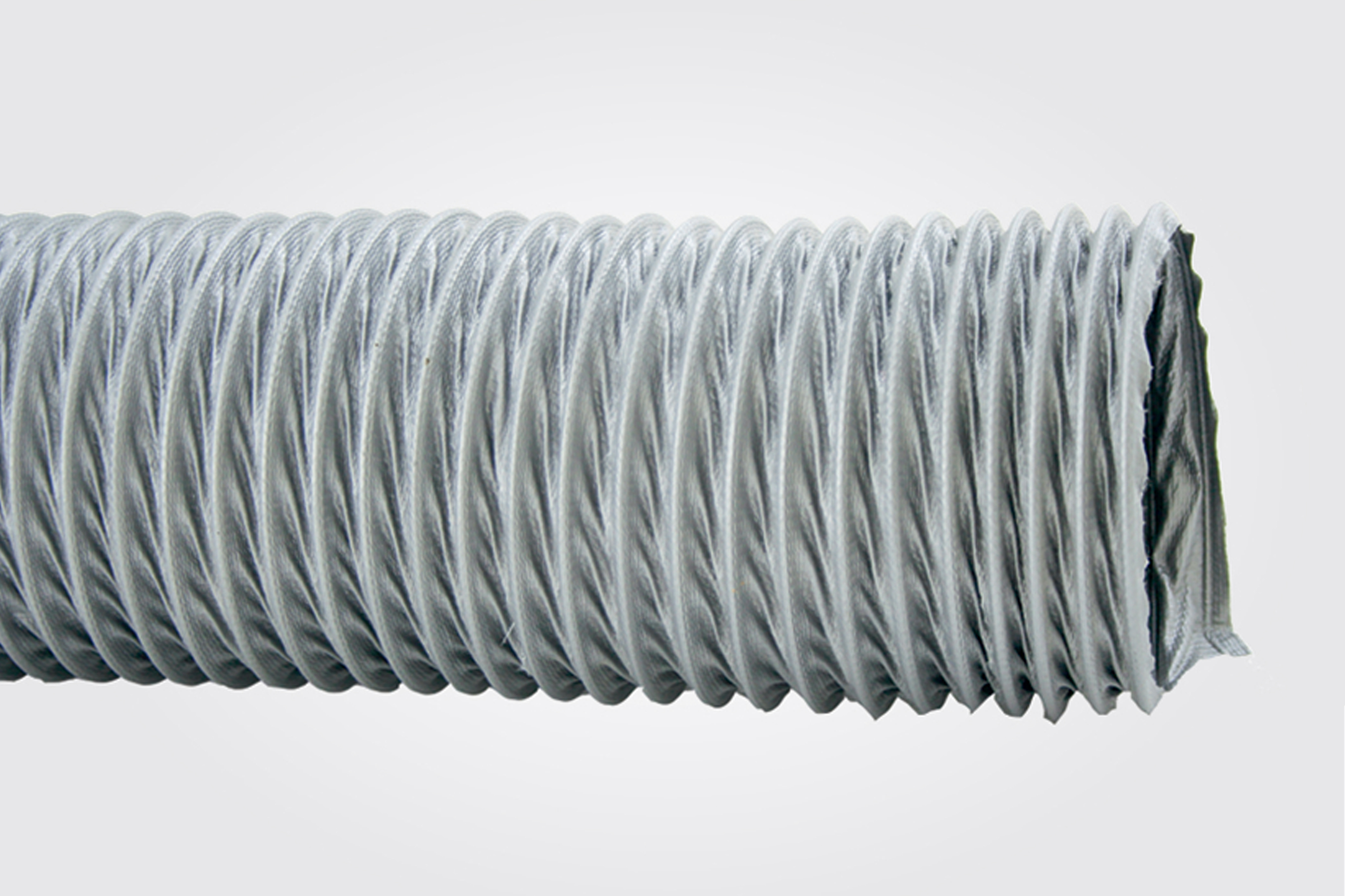 خرطومی برزنتی 